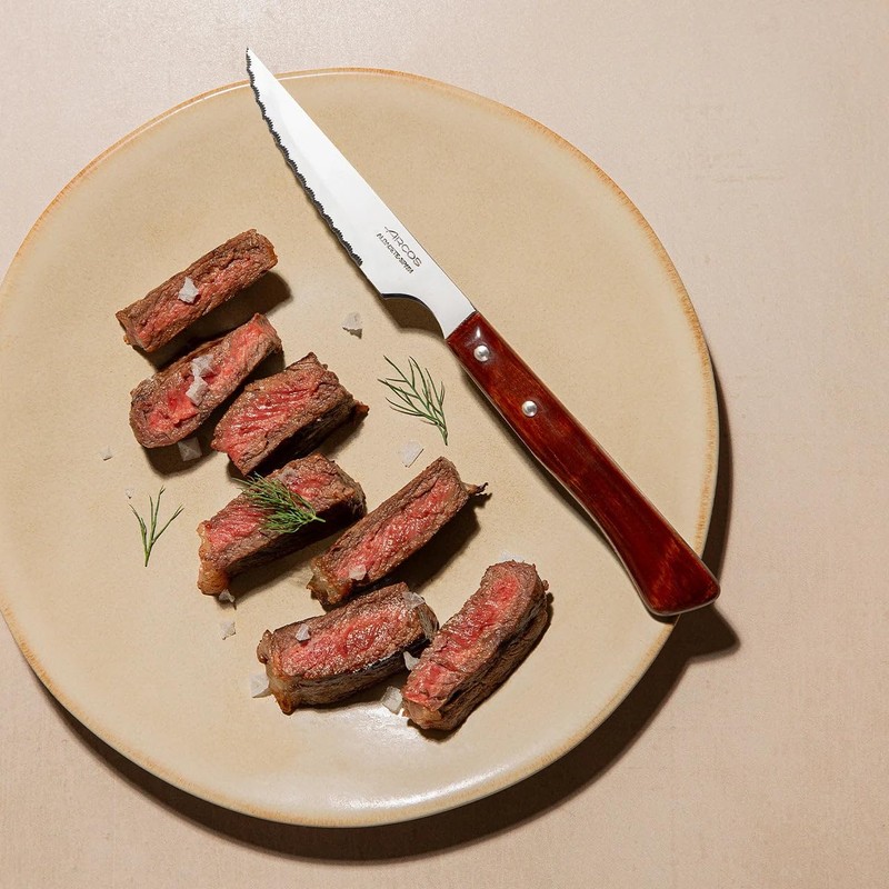 Arcos 4 inch Steak Knife in Nitrum Stainless Steel. Meat