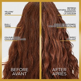 L'Oréal Paris L'Oreal Paris Le Color One Step Toning Hair Gloss, Clear, 4 Ounce