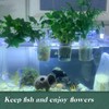 Upgrade Acrylic Aquarium Plant Holder Hanging Aquatic Plant Holder,Adjustable Hook
