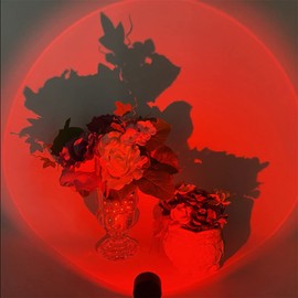 Tuperoymse 4X LED USB Sunset Lamp Night Light Projector Birthday Party Decoration Mood Light for Bedroom Living,Sunset Red