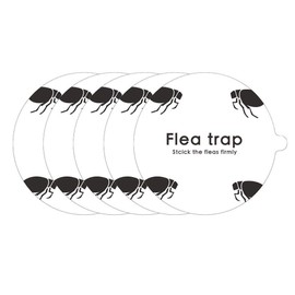 Flea Board, Catches More Flies, Protects Plants. Sticky Fly Traps for Home and Pet House (1)