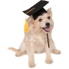 Rubies Costume Co Black Graduation Hat Pet Accessory, Medium/Large