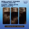 Clairol Nice'n Easy Permanent Hair Dye, 3 Brown Black Hair