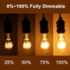 Wesome Lighting Warm LED Edison Light Bulbs, A19 4W Dimmable