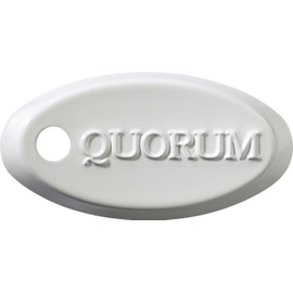 Quorum 7-1192-6 Accessory - Fan/Light Slider Control, White Finish