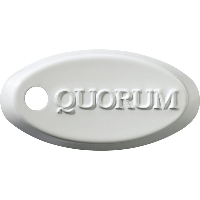Quorum 7-1192-6 Accessory - Fan/Light Slider Control, White Finish
