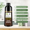 Brown Hair Dye Shampoo for Women Men, Gray Hair Coverage,