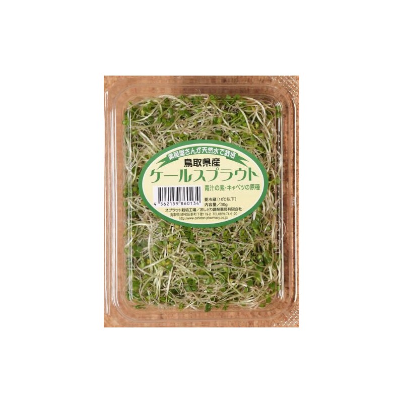 Sprout, 6 Types, 12 Pack Set