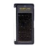 Sharp Lash Premium Toray by Amber Lash, 20 Rows of