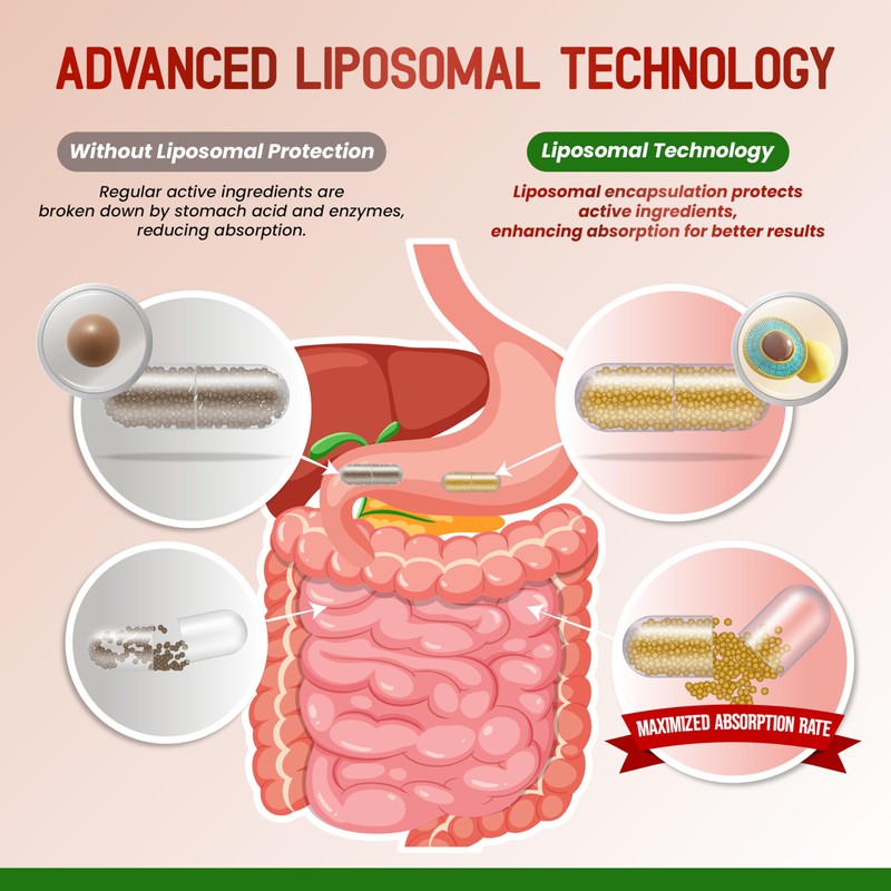 HarmoVira Liposomal Cayenne Pepper with Ginger & Lemon Balm –