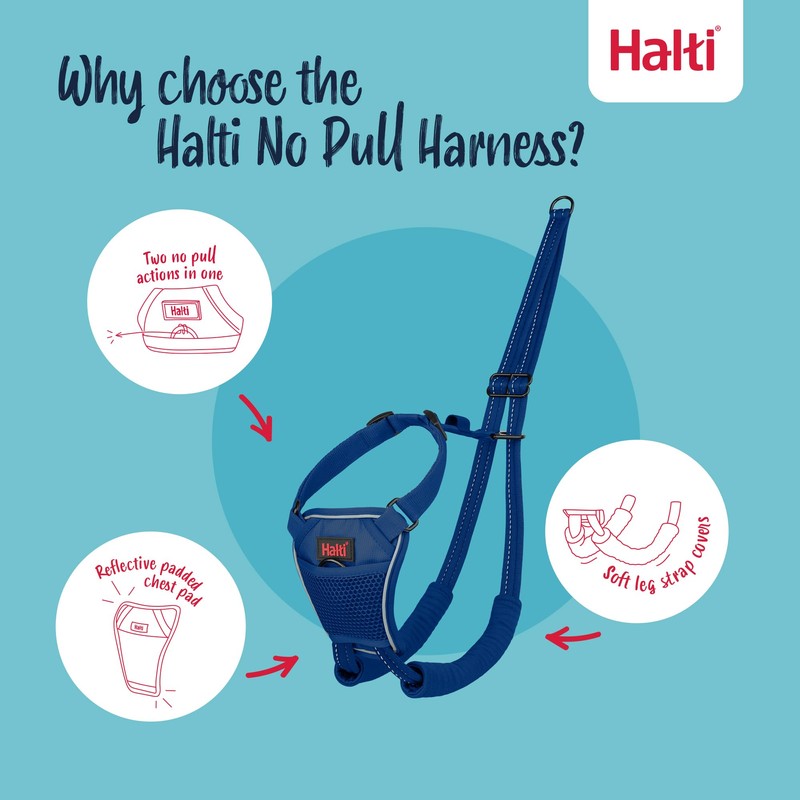 HALTI No Pull Harness - To Stop Your Dog Pulling