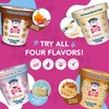 Puppy Scoops Dog Ice Cream Mix (Peanut Butter Flavor), 4.65