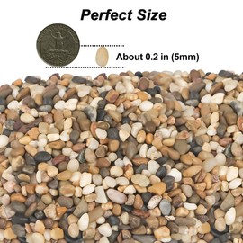 River Rocks,Landscaping Pebbles Decorative Ornamental Pebbles Garden Landscaping Stones Gravel Filler for Home Decoration Flower Bed Fish Tank Plants Vases Succulents (Mixed Color, 1 Pound)