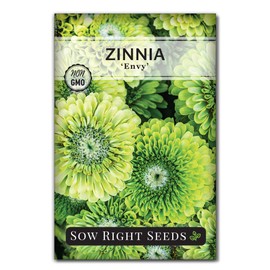 Sow Right Seeds - Zinnia Envy Flower Seeds for Planting - Beautiful Flowers to Plant in Your Garden - Non-GMO Heirloom Seeds - Chartreuse Green Variety - Attract Pollinators - Giant Cut Flower (1)