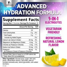 Hydration Electrolyte Gummies - Daily Liquid Replenisher Gummy - Electrolyte Multiplier with Minerals, Potassium & Real Salt - Vegan, Non-GMO - Tasty Lemon Flavor Hydration Electrolytes - 60 Gummies