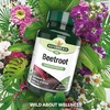 Natures Aid Beetroot Capsules, Equivalent to 4620 mg Dried Beetroot,
