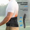 HONGJING Bionic Back Support Belt to Relieve Lower Back Pain,