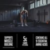 American Body Building (ABB Pure Pro Protein Powder, Chocolate, 33