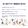 JAY&CO. 溶けやすい BCAA パウダー 無添加 ノーフレーバー 遺伝子組み換えなし (500g)