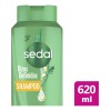 Shampoo Sedal Rizos Definidos 620 Ml