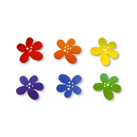 Roeda Brighten Your Life 14100sur Summer Rainbow Color Flower Ombre Set of 6 Assorted Magnets