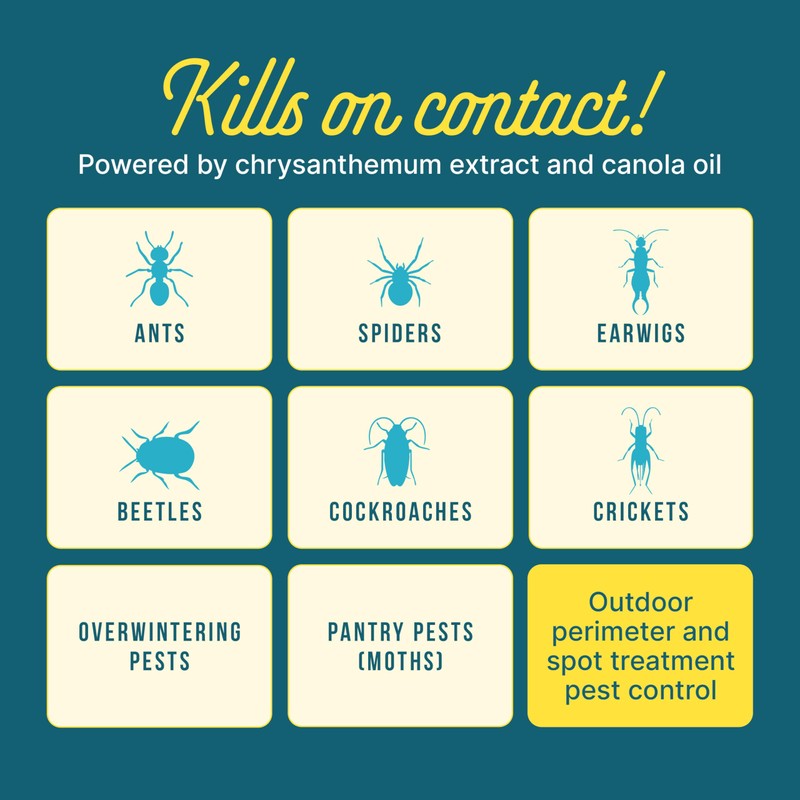 Sunday Bug Doom - Home Insect Spray - Outdoor Insect