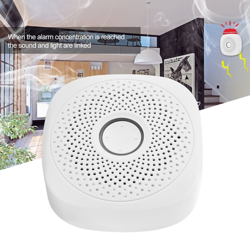 Combustible Gas Leak Detector Built in Speaker Smart Gas Alarm