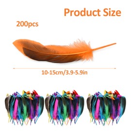 Homirty 200 Pcs Colourful Feathers for Crafts, Mini Feathers, Natural Feathers for Crafting, Bright Multicolour Feather Decorations, Feathers for Hats, Headpiece Feathers for DIY Making Weddings