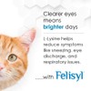 Felisyl L-Lysine Gel for Cats & Kittens (5oz) – Immune