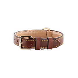 Brute Strength Leather Dog Collar Brown M 36-43 cm