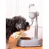 Chazcool Pet Water Dispenser, Pet Standing Water Dispenser Bowl, 2