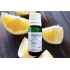 Grapefruit Pure Essential Oil 10ml