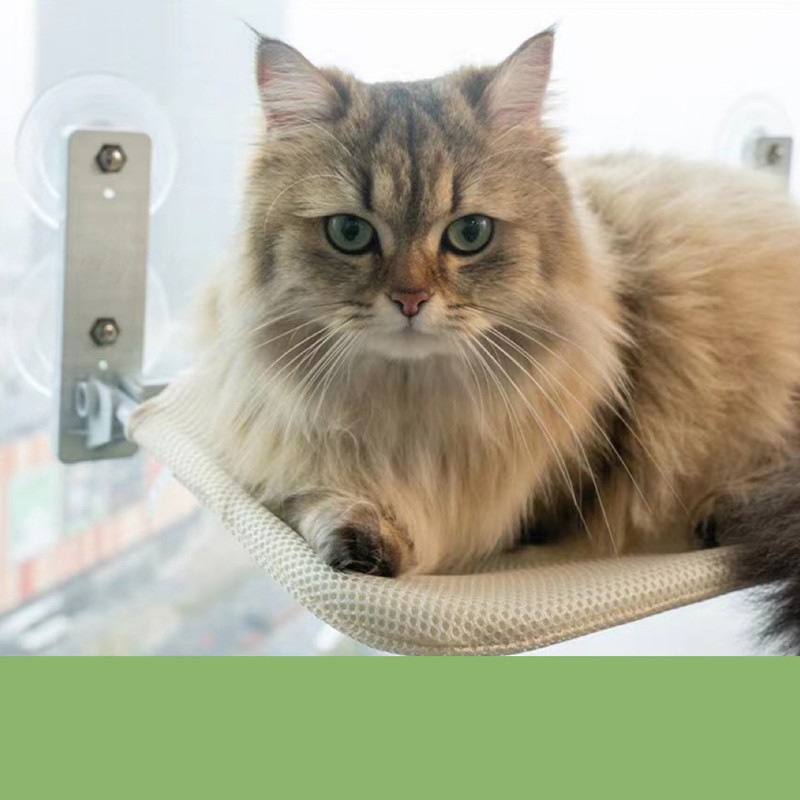Cat Window Hammock Foldable Suction Cup 44.1lb Load Bearing Breathable
