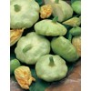 Mr Fothergills Mr Fothergill's 17627 Vegetable Seeds, COURGETTES & Summer