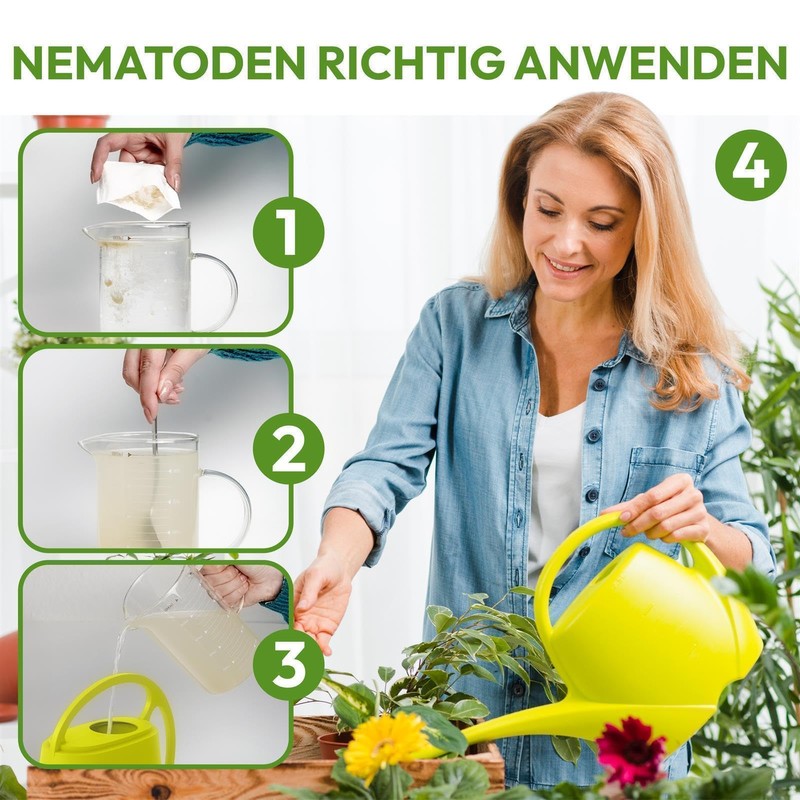 SF nematodes for controlling fungus gnats, thrips and other pests