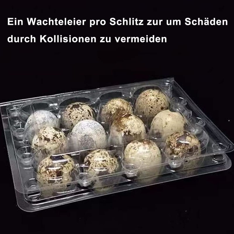 Pack of 30 Quail Egg Boxes, 12 Grid Quail Egg
