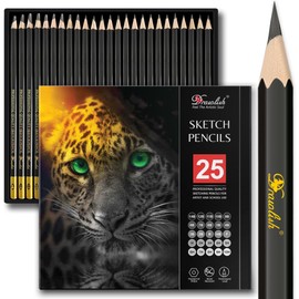 Drawing Pencils for Artists - 25 Grades (14B to 10H) Sketching Pencils Set Covering All Grades - Graphite Pencils with Prime Wood - Art Pencils Ideal for Illustrations, Shading & more