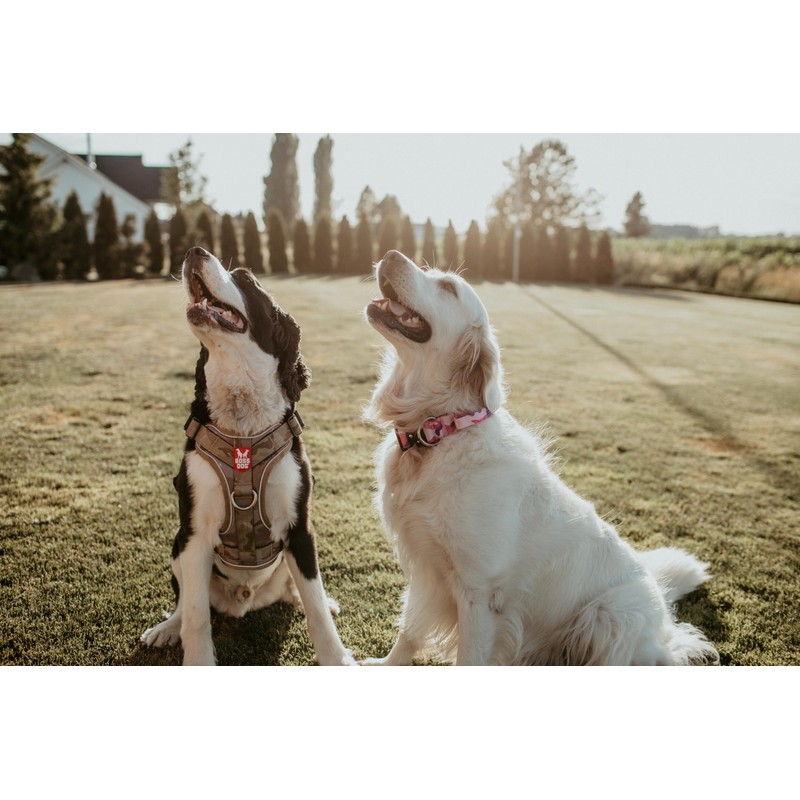 Boss Dog Tactical Tan Camo Harness (Medium)