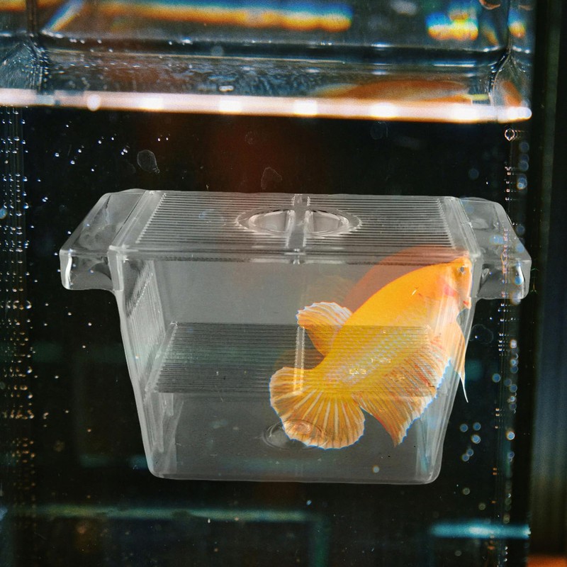 Bojueshaw Aquarium Fish Breeding Box,Acrylic Fish Hatching Incubator Box,Transparent Double-Layer
