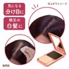 ジョスラン ヘアカバーファンデーション DBR