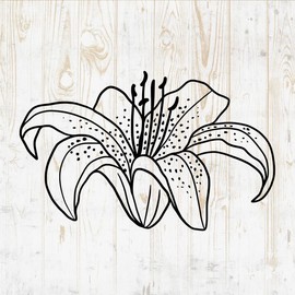 Flower Bouquets Wall Decals - Flower Bouquets Wall Stickers - Minimalistic Minimalist Floral Botanical Leaves Branches Silhouette - Car Window Tumbler Laptop Bedroom Room Home Decor DWSV13191