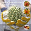 FEISHDEK Cactus Gloves Soft Deerskin Women Gardening Glove Thorn Proof