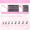 Eyelashes, Individual, Cluster for Eyelash Extension, 40P, 0.07, D-curl, Mixed,