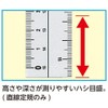 Ruler Set AP044 