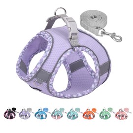 AIITLE Tiny Dog Harness - Lightweight Mesh Step-in Vest for Puppy, Reflective & Escape-Proof Design with High-Stick Velcro - Indoor/Outdoor Use for Chihuahua, Maltese, Shih Tzu(Purple, XXXS)