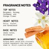 Pacifica Beach Day Spray Perfume, Fragrances, Bliss, Bergamont, Orange Flower,