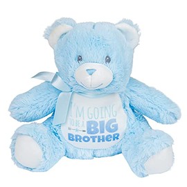 Gorgeous Gift House I'm going to be a Big Brother Blue Teddy Bear - Pregnancy Announcement - New Baby Announcement, Children One Size, Pink