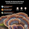 Cola de Pavo (Trametes Versicolor) - Extracto Líquido de Doble