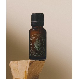 Essenhut Essence Herb Tea Tree 100 Oil 20ml (Large Size)