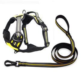 Trukspet No Pull Dog Harness with a Free 5ft Strong Dog Leash Set, Adjustable Vest Reflective Front Clip Heavy Duty with Easy Control Handle, for Large Medium and Small Dogs size-2PCS-S-Green